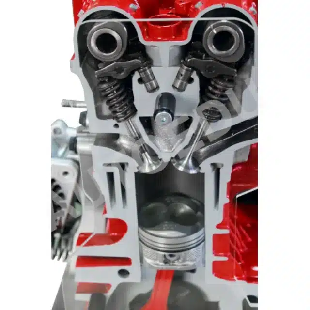 Petrol(gasoline) DOHC engine ½ cutaway model IVDB01 AutoEDU automotive training equipment